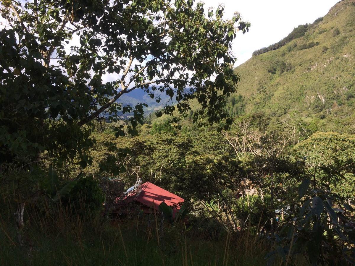 Illariy Tampu Ecoalbergue オクサパンパ エクステリア 写真